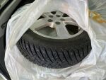 Hopea Viistoperä, Toyota Prius – BBZ-227, kuva 6