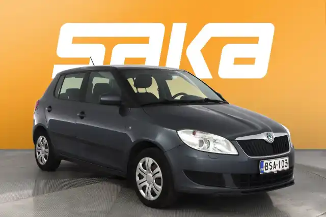 Harmaa Viistoperä, Skoda Fabia – BSA-103