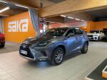Harmaa Maastoauto, Lexus NX – BUT-754, kuva 2