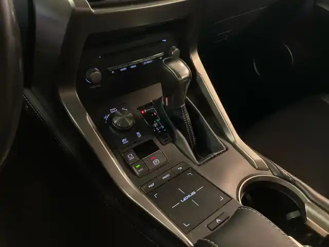 Harmaa Maastoauto, Lexus NX – BUT-754