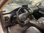 Hopea Maastoauto, Lexus NX – BUU-979, kuva 5