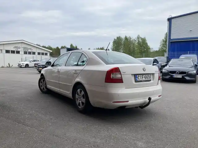 Valkoinen Viistoperä, Skoda Octavia – CIF-665