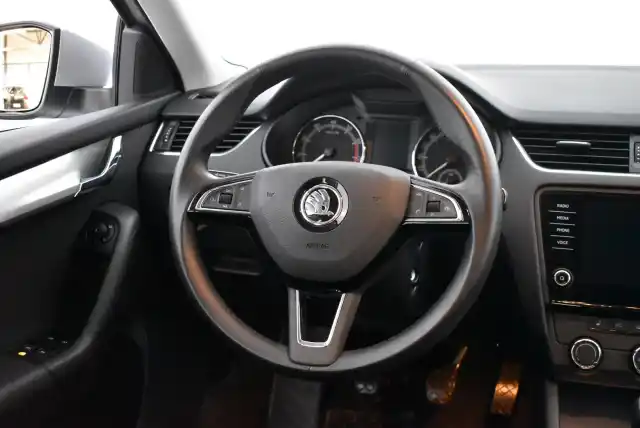 Harmaa Viistoperä, Skoda Octavia – CKP-112