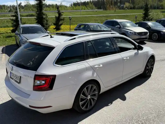 Valkoinen Farmari, Skoda Octavia – CNJ-365