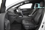 Valkoinen Viistoperä, Opel Insignia – CNK-257, kuva 12