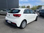 Valkoinen Viistoperä, Kia Rio – CPE-539, kuva 5