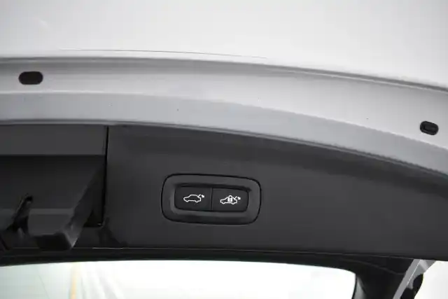 Harmaa Viistoperä, Polestar 2 – CRR-479