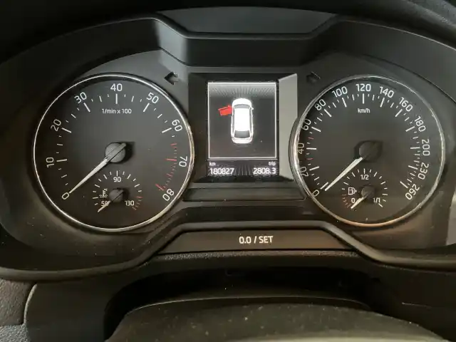Ruskea (beige) Farmari, Skoda Octavia – CTE-103