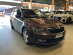 Ruskea (beige) Farmari, Skoda Octavia – CTE-103, kuva 3