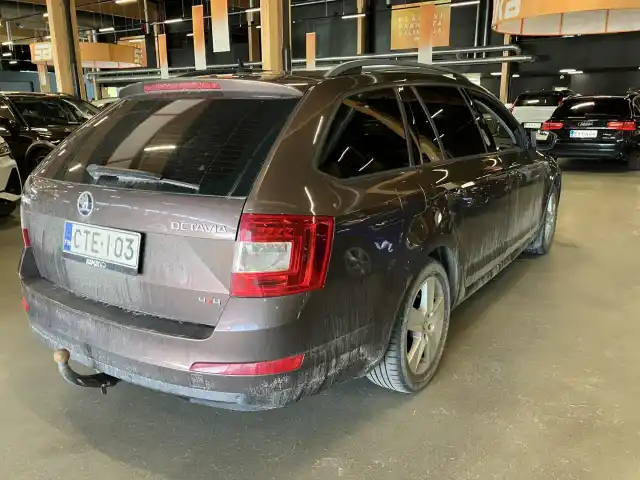 Ruskea (beige) Farmari, Skoda Octavia – CTE-103