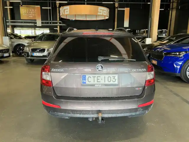 Ruskea (beige) Farmari, Skoda Octavia – CTE-103