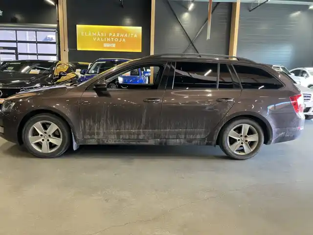 Ruskea (beige) Farmari, Skoda Octavia – CTE-103