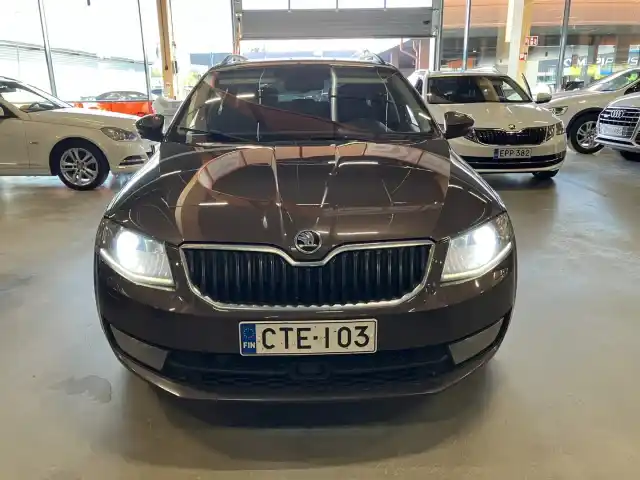 Ruskea (beige) Farmari, Skoda Octavia – CTE-103