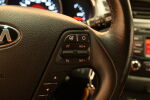Hopea Farmari, Kia cee'd – EMP-951, kuva 17