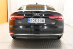 Musta Viistoperä, Audi A5 – EOX-208, kuva 7