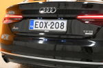 Musta Viistoperä, Audi A5 – EOX-208, kuva 9