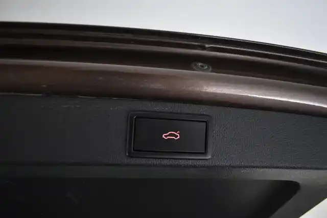 Ruskea Farmari, Skoda Octavia – EPP-186