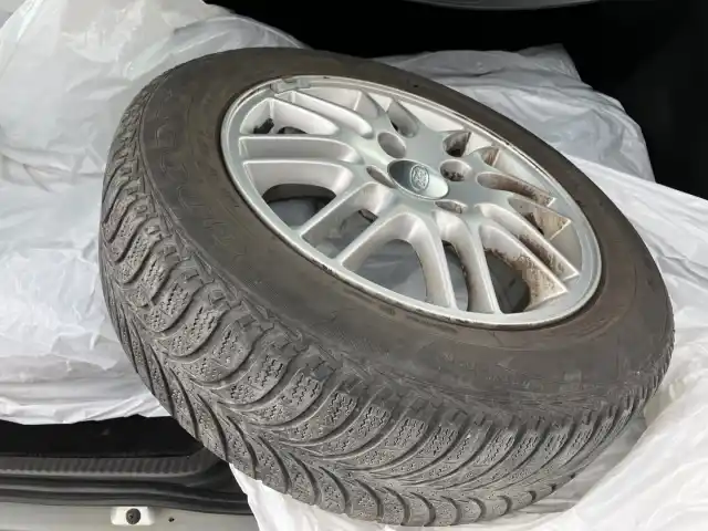 Harmaa Farmari, Ford Focus – EVU-451