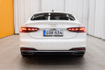 Valkoinen Viistoperä, Audi A5 – GOK-534, kuva 6