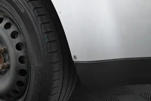 Harmaa Farmari, Ford Focus – HJI-127
