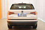 Valkoinen Maastoauto, Skoda Kodiaq – IMS-250, kuva 7