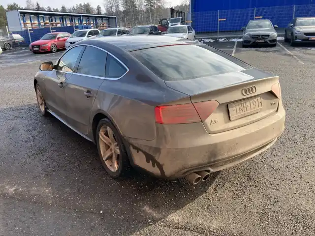 Harmaa Viistoperä, Audi A5 – INH-191