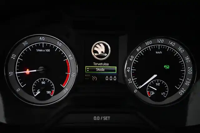 Valkoinen Viistoperä, Skoda Octavia – IOO-454