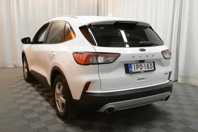 Valkoinen Maastoauto, Ford Kuga – IPO-163