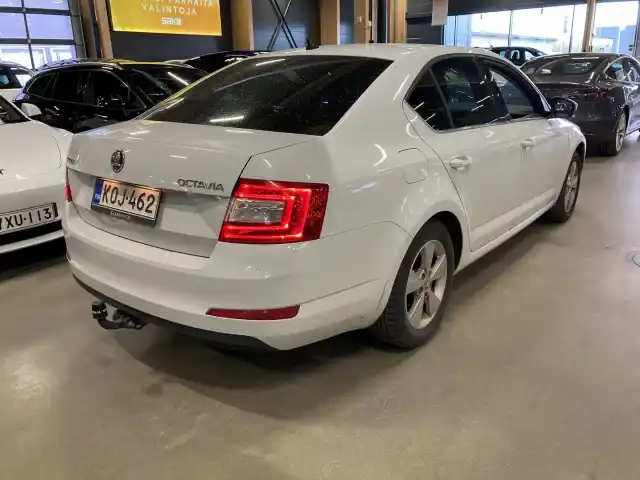 Valkoinen Viistoperä, Skoda Octavia – KOJ-462