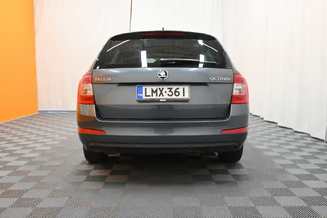 Harmaa Farmari, Skoda Octavia – LMX-361