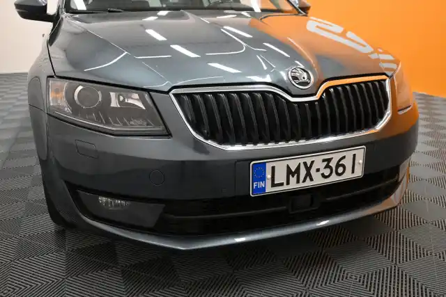 Harmaa Farmari, Skoda Octavia – LMX-361