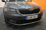 Harmaa Farmari, Skoda Octavia – LMX-361, kuva 10