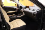 Musta Maastoauto, Lexus NX – LOR-205, kuva 7