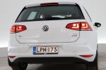Valkoinen Viistoperä, Volkswagen Golf – LPN-173, kuva 10