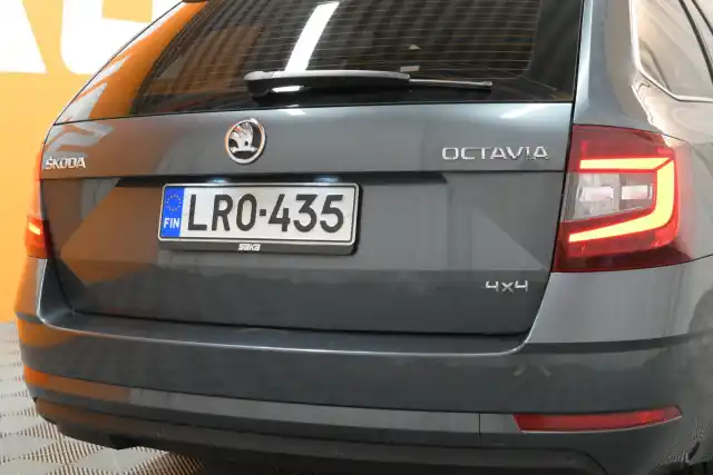 Harmaa Farmari, Skoda Octavia – LRO-435