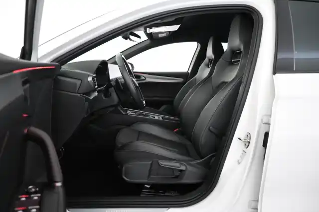 Valkoinen Viistoperä, Cupra Leon – LVP-398