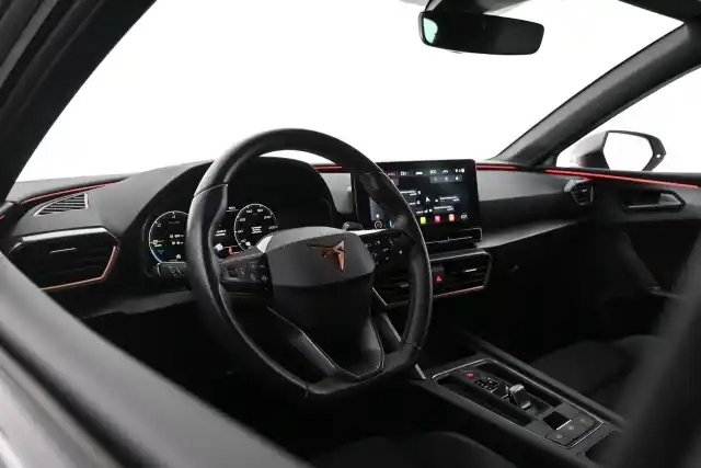 Valkoinen Viistoperä, Cupra Leon – LVP-398