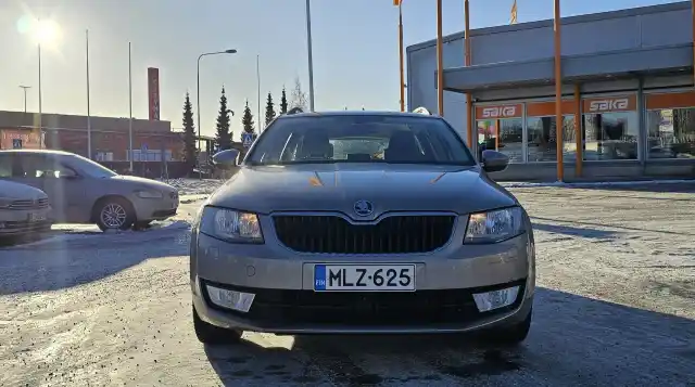 Beige Farmari, Skoda Octavia – MLZ-625