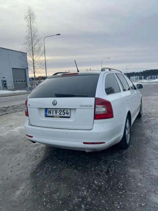 Valkoinen Farmari, Skoda Octavia – NIV-254