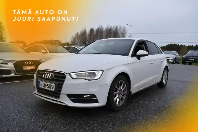 Valkoinen Viistoperä, Audi A3 – NJM-509