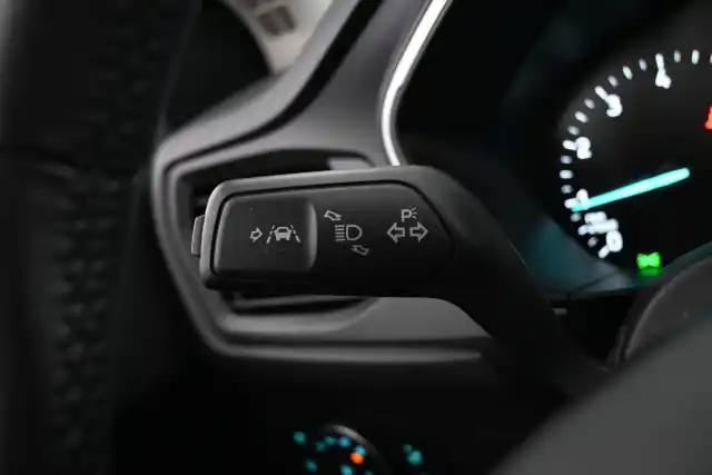 Valkoinen Farmari, Ford Focus – NLM-581