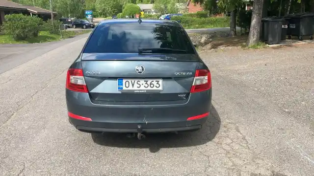 Harmaa Viistoperä, Skoda Octavia – OVS-363