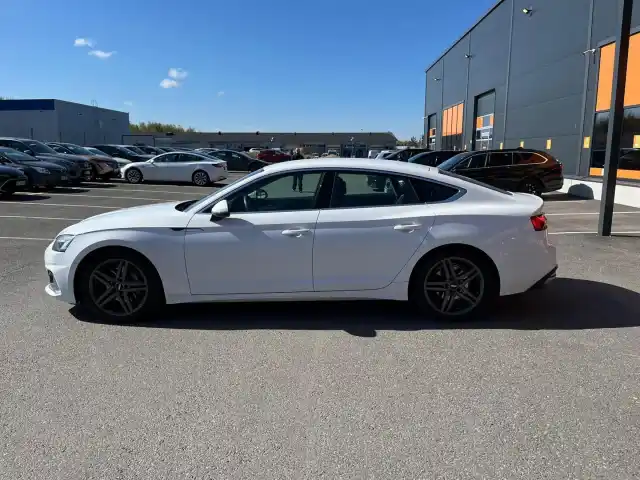 Valkoinen Viistoperä, Audi A5 – OZT-985