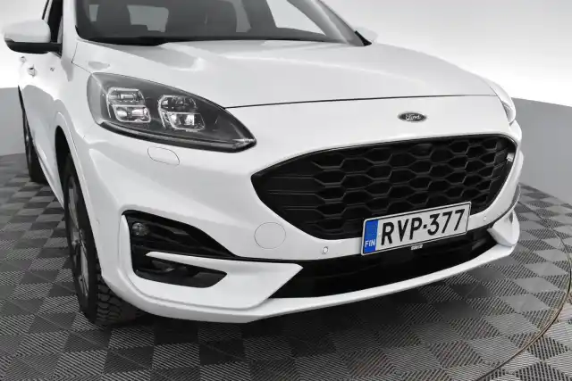 Valkoinen Maastoauto, Ford Kuga – RVP-377