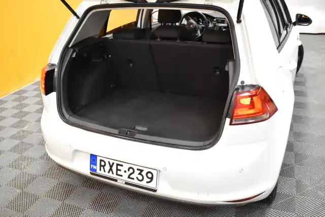 Valkoinen Viistoperä, Volkswagen Golf – RXE-239