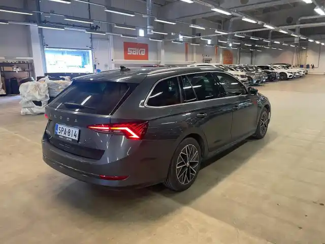 Harmaa Farmari, Skoda Octavia – SPA-814