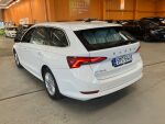 Valkoinen Farmari, Skoda Octavia – SPC-542, kuva 4