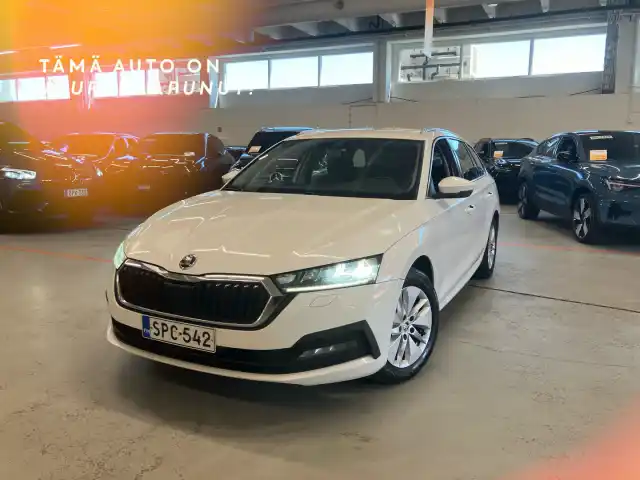 Valkoinen Farmari, Skoda Octavia – SPC-542