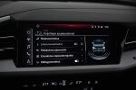 Harmaa Maastoauto, Audi Q4 e-tron – VAR-03267, kuva 26