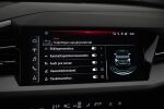 Harmaa Maastoauto, Audi Q4 e-tron – VAR-03267, kuva 27